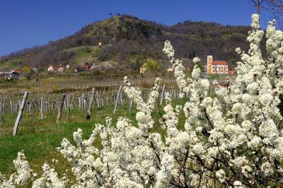 Szent György-hegy-stock-foto