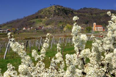 Szent György-hegy-stock-foto