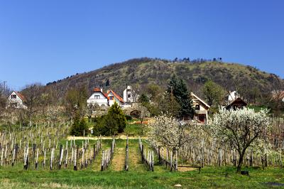 Szent György-hegy-stock-foto