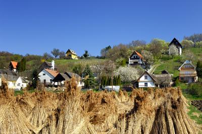 Szigligeti látkép tavasszal-stock-foto
