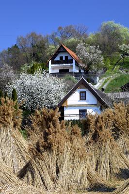 Szigligeti látkép tavasszal-stock-foto