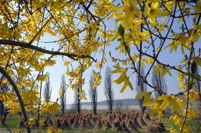 Szigligeti látkép tavasszal-stock-foto