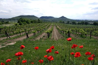 A Balaton-felvidék tanúhegyeinek látványa-stock-foto