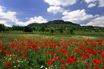 Szent György-hegy-stock-foto