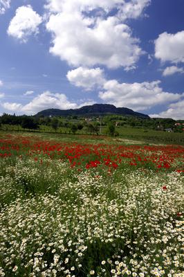 Szent György-hegy-stock-foto