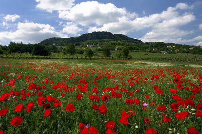 Szent György-hegy-stock-foto