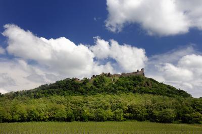 Szigligeti vár-stock-foto