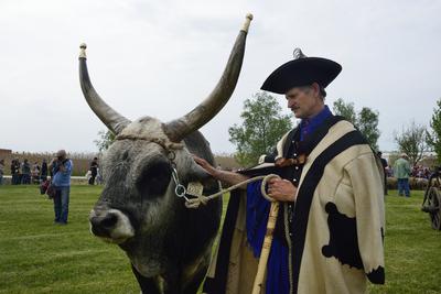 Hortobágy-stock-foto