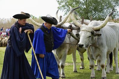 Hortobágy-stock-foto