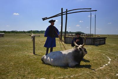 Hortobágy-stock-foto