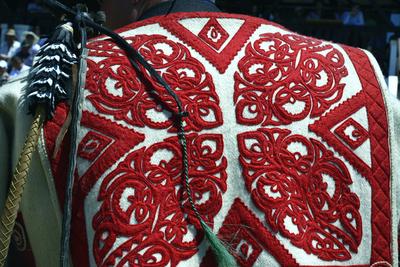 Hortobágy-stock-foto