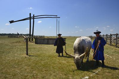 Hortobágy-stock-foto