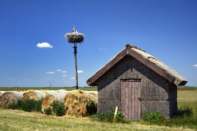 Hortobágy-stock-foto