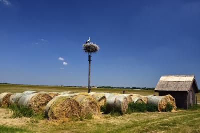 Hortobágy-stock-foto