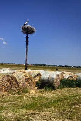 Hortobágy-stock-foto