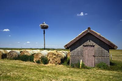 Hortobágy-stock-foto