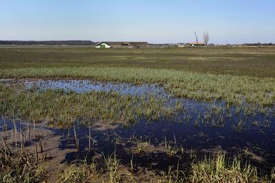 Hortobágy-stock-foto