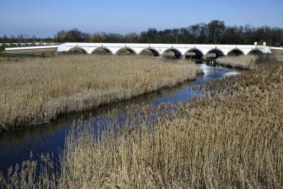 Hortobágy-stock-foto