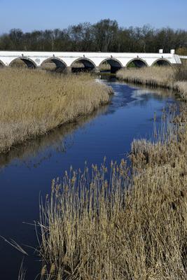 Hortobágy-stock-foto
