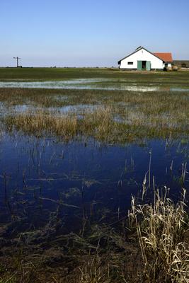 Hortobágy-stock-foto