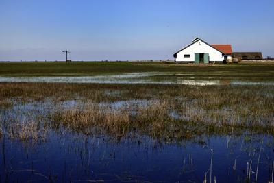 Hortobágy-stock-foto