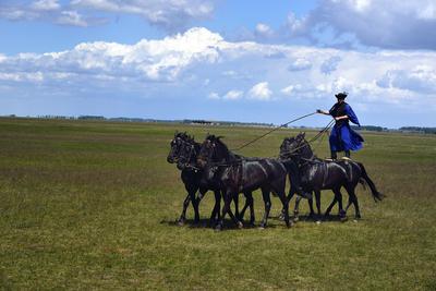 Hortobágy-stock-foto