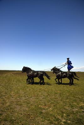 Hortobágy-stock-foto
