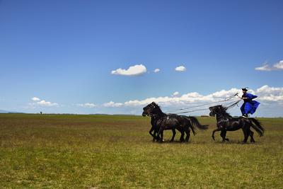 Hortobágy-stock-foto