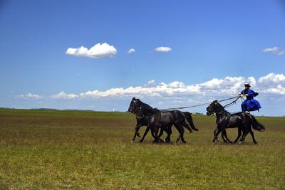 Hortobágy-stock-foto