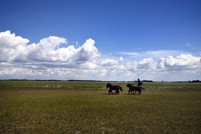 Hortobágy-stock-foto