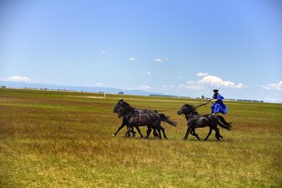 Hortobágy-stock-foto