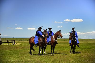 Hortobágy-stock-foto