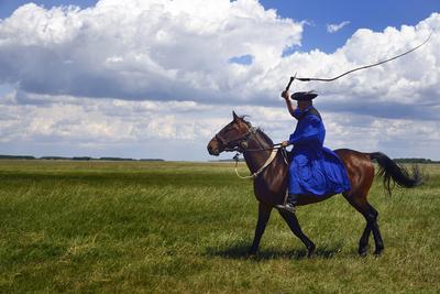 Hortobágy-stock-foto
