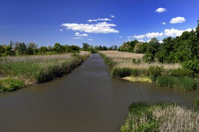 Hortobágy-stock-foto