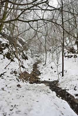 Tombol a t?l, Ezekben a t?li napokban  reggelre a h?m?r?k sokszor -15 fok al? s?lyednek.Hatalmas ?ll? j?gcsapokat var?zsolt a term?szet a hideg t?li napokban a Szurdokp?sp?ki hat?r?ban tal?lhat r?gi rekultiv?lt k?b?nya fal?ra. A M?traalj?n tal?lhat? szurdokv?lgyben az  egykori b?nya fal?n az orgona s?pokhoz hasonl? , de egy-k?t m?ter magas j?gcsapok pomp?znak a t?li hidegben a j?gbe z?rt szurdok v?lgyben.-stock-foto