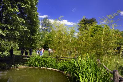 Kecskemét-stock-foto
