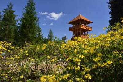 Jeli arborétum-stock-foto