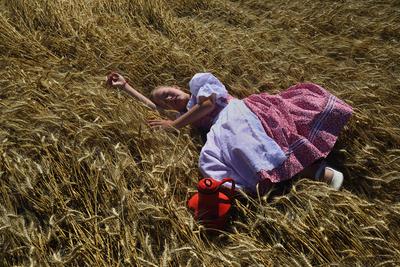 Jászapáti Aratónap-stock-foto