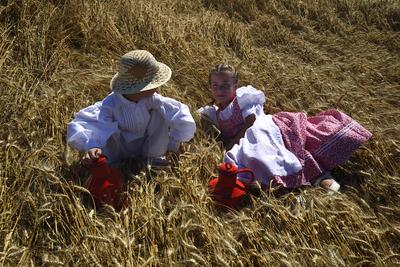Jászapáti Aratónap-stock-foto