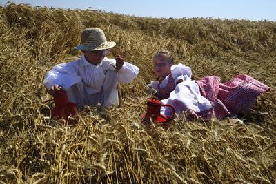 Jászapáti Aratónap-stock-foto