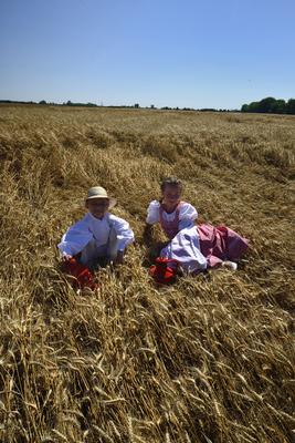 Jászapáti Aratónap-stock-foto