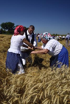 Jászapáti Aratónap-stock-foto