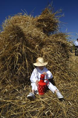Jászapáti Aratónap-stock-foto