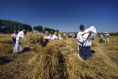 Jászapáti Aratónap-stock-foto