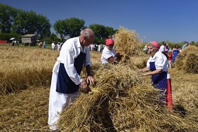 Jászapáti Aratónap-stock-foto