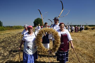Jászapáti Aratónap-stock-foto