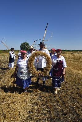 Jászapáti Aratónap-stock-foto