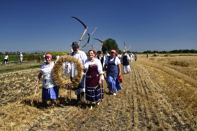 Jászapáti Aratónap-stock-foto