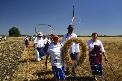 Jászapáti Aratónap-stock-foto