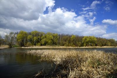 Kis-Balaton-stock-foto